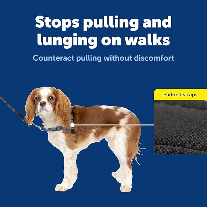 PetSafe Deluxe Easy Walk Harness - Trainer-Trusted Dog Chest Harness with Breathable Martingale Loop Design - Helps Stop Pulling with No Choking & Gagging - Small - Steel