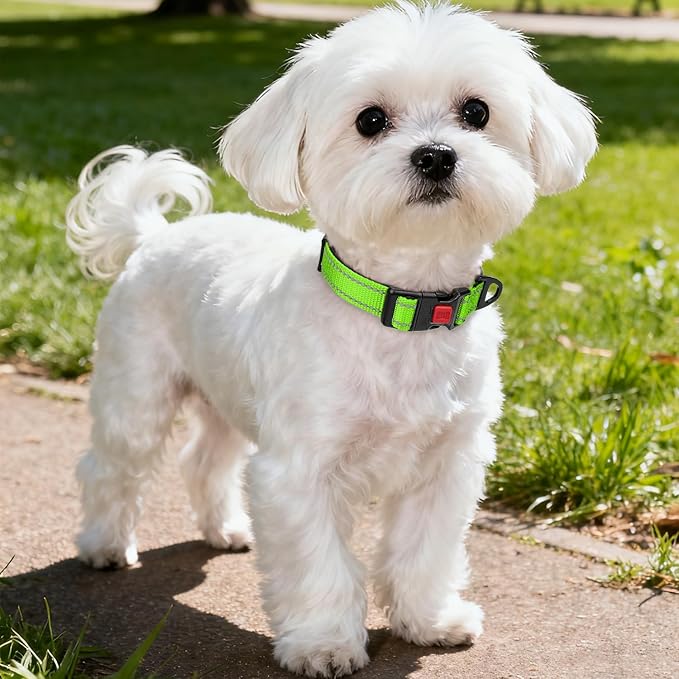 Taglory Reflective Dog Collar with Safety Locking Buckle, Soft Neoprene Padded Dog Collar for Small Dogs, Metal D-Ring, Adjustable Nylon Neck Strap for Daily Walking, Training & Running, Green, S