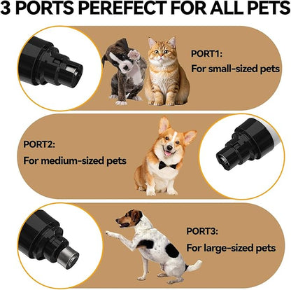 Upgraded Quiet Dog Nail Grinder, Professional 2-Speed Rechargeable Pet Nail Trimmer for Small/Medium/Large Dogs & Cats, Painless Paw Grooming with 2 Replacement Grinding Heads(M1)