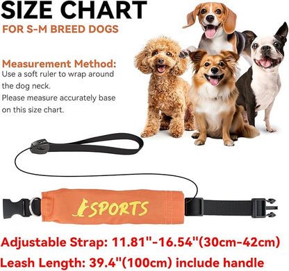 NAMSAN Retractable Dog Leash Collar for Small to Medium Dogs, Dog Collar with Retractable Leash Built-in, All-in-One, Adjustable, Orange