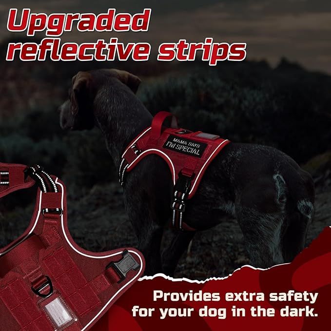 rabbitgoo Tactical Dog Harness Medium Sized Dog, No Pull Military Service Vest with Handle & Molle, Easy Control for Training Walking, Adjustable Reflective Straps, Red, M