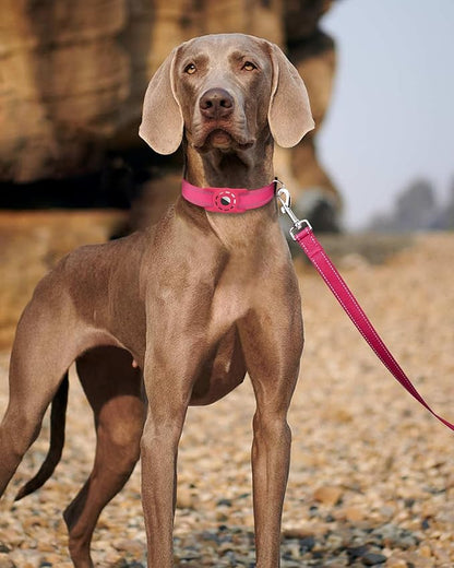Reflective Dog Leash 6ft Soft Padded Handle Nylon Lead for Medium & Large Dogs, Durable Walking Training Leash for Night Safety (Hotpink,1Inch Wide)