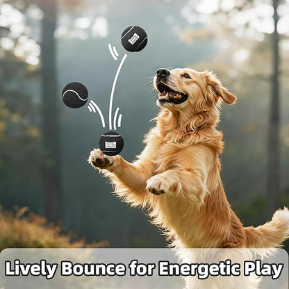2.5" Dog Tennis Balls 6-Pack Silent Bounce, Tough Rubber Core, Durable Fetch & Training Toys for Indoor/Outdoor Play, for Small Medium Large Dogs (Black, 6 Pack)