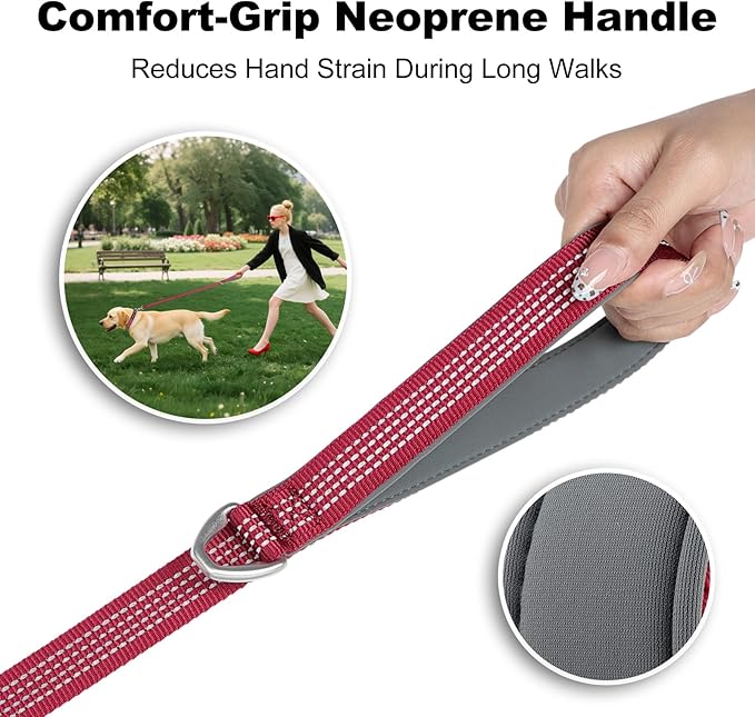 Plutus Pet Heavy Duty Dog Leash with Lockable Aluminum Carabiner, 4/6 Feet Long, Double-Sided Reflective Nylon, Padded Handle, for Puppy, Small, Medium and Large Dogs (Burgundy Red, 1" x 6')