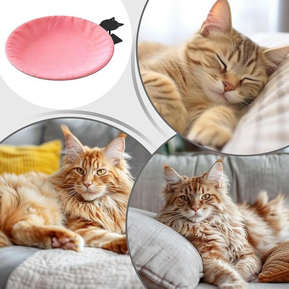 Elevated Hammock Bed, Clip On Cat Desk Cushion, 24x16 Inches Pet Cushion with Removable Cover Feature, Soft Fabric Hanging, Cat Bed with Space Saving Design, Interactive Indoor Rest for Cats