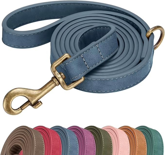 Didog Stylish PU Leather Dog Leash for Small Dogs, Easy to Clean 5ft Small Dog Leash with Metal Tangle-Free Clip, Fashionable and Elegant for Walking, Running and Training,Blue, S