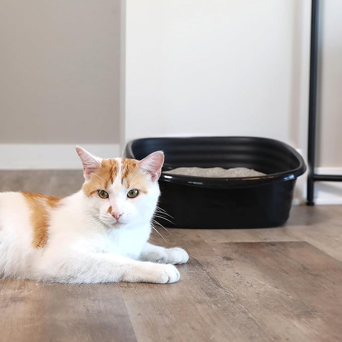 Arm & Hammer Simply Recycled Plastic Cat Litter Pan, Made in USA, Easy to Clean, Large Durable Litter Box, Black
