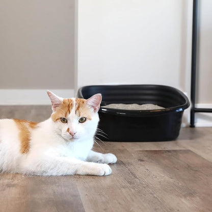 Arm & Hammer Simply Recycled Plastic Cat Litter Pan, Made in USA, Easy to Clean, Large Durable Litter Box, Black