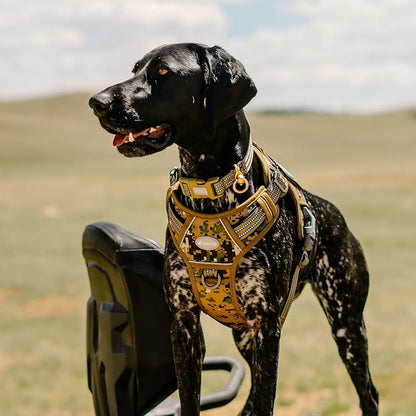 AUROTH Tactical Dog Harness for Small Medium Dogs No Pull Adjustable Pet Harness Reflective Working Training Easy Control Pet Vest Military Service Dog Harnesses Woodland Camo M