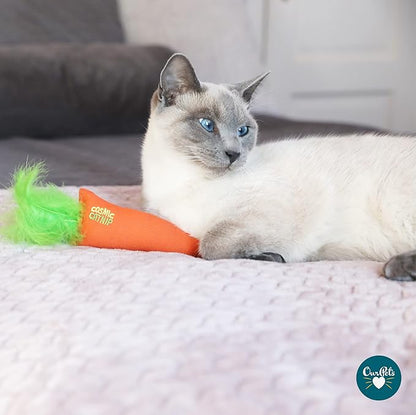 OurPets 100-Percent North American Catnip Filled Carrot Cat Toy 24 Karat
