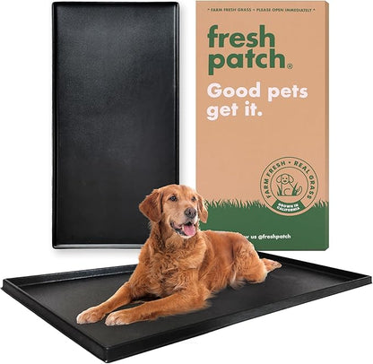 Fresh Patch Plastic Tray for XL Real Grass Pee and Potty Training Pads for Large Dogs and Multi-Dog Households – 4 ft x 2 ft Multi-Purpose and Reusable Crate Tray for Indoor and Outdoor Use