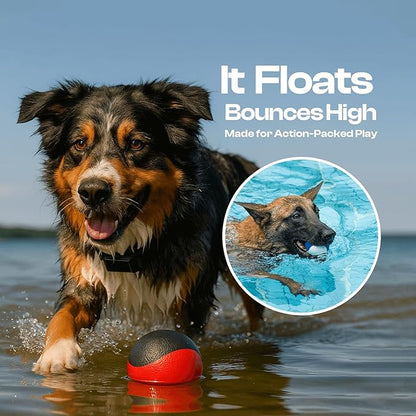 Squeaky Dog Toy – Durable Rubber Dog Ball for Medium & Large Dogs, Tough Interactive Fetch Toy for Chewers, Outdoor Training & Play Ball, Floating Water Play Gift.Red Black