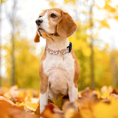 Faygarsle Orange Dog Collar with Pumpkin Leaf Patterns Cute Puppy Collar for Fall Autumn Seasons Dog Collar for Small Medium Large Dogs Stylish Dog Necklace for Male Female Boy Girl Dogs S