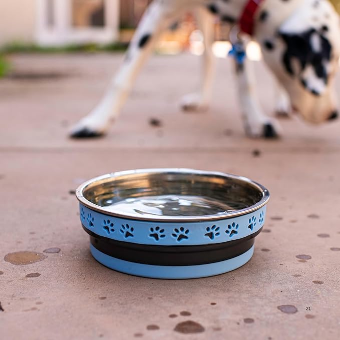 Loving Pets Corsa Dog Bowls- Stainless Steel Dog & Cat Bowls - Spill Proof Dog Food Bowl, Cat Bowl, Puppy Essentials & Pet Supplies Great for Home & Travel (Small 10-20 lbs, Rapid Blue)