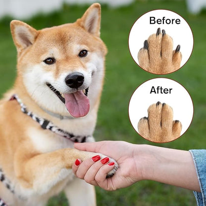 42 Pcs Pet Nail Grinder Replacement Kit with Grit Nail Smoother Sanding Drum Set Claw Grooming Supplies for Dog Claw Care