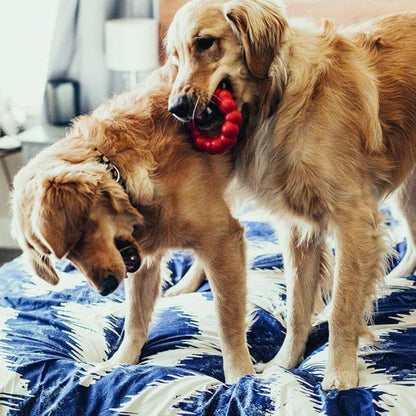 KONG Ring & Goodie Ribbon - Durable Rubber Treat-Dispensing Chew Toy for Dental Health - for Medium Dogs