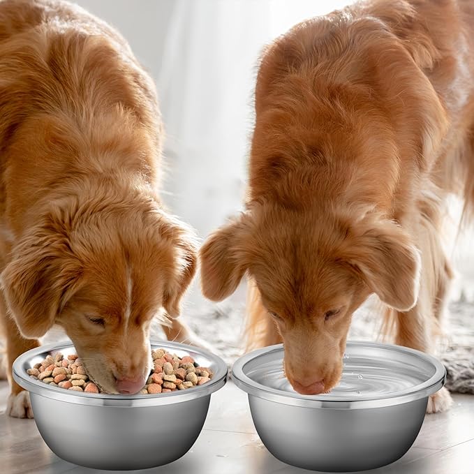 1 Gallon Large Dog Bowl Set of 6, Stainless Steel Metal Water Bowls 128oz High Capacity Heavy Duty Pet Food Bowl for X-Large and Giant Dogs, Easy to Clean