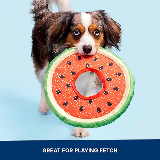 Barkbox Slobbermelon Fetch Flying Disc Dog Toy | Fluff-Free Crinkle Disc with T-Shirt Rope Edge | Durable Fetch & Tug Toy for Dogs & Puppies