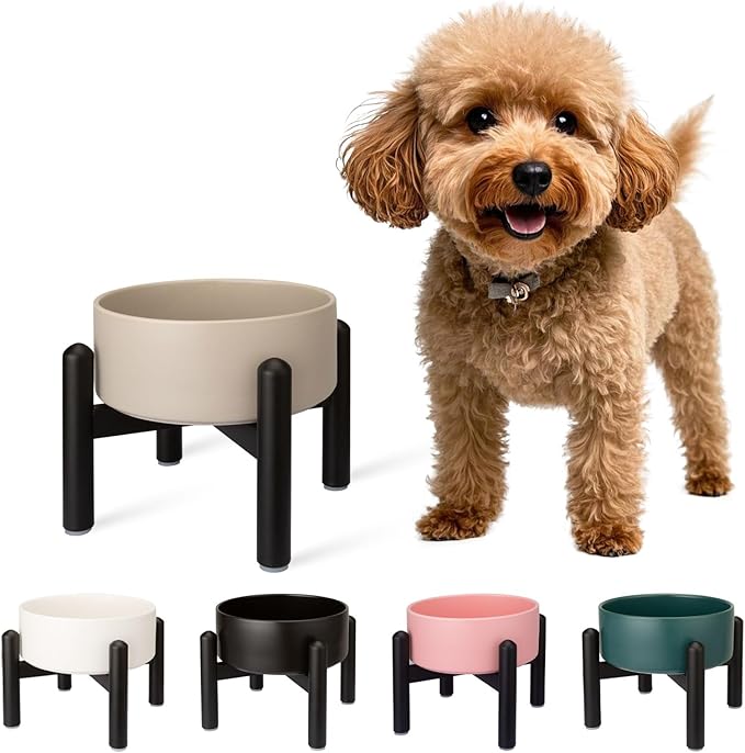 Raised Ceramic Dog Bowl - Elevated Food Water Dish with Stainless Steel Stand - for Small to Medium Dogs - 6 Inch - 2 Cups (28.75 fl oz) - Grey