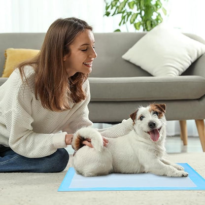 FluffyDream Super Absorbent Waterproof Dog and Puppy Pet Training Pad, Housebreaking Pet Pad,Blue (22"x22"(100PCS))