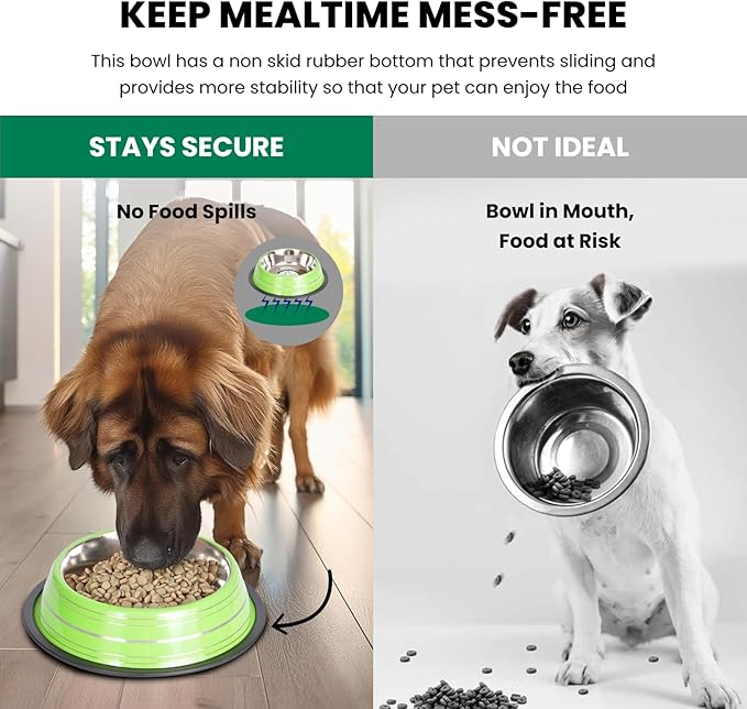 Iconic Pet 8 Cup/64 Oz Elegant Stainless Steel Color Splash Food/Water Bowl with Non Skid, Noise Free, Removable Rubber Ring - Dog/ Cat Feeding Bowl In color shade, Dishwasher Safe - Green, 2 Bowls