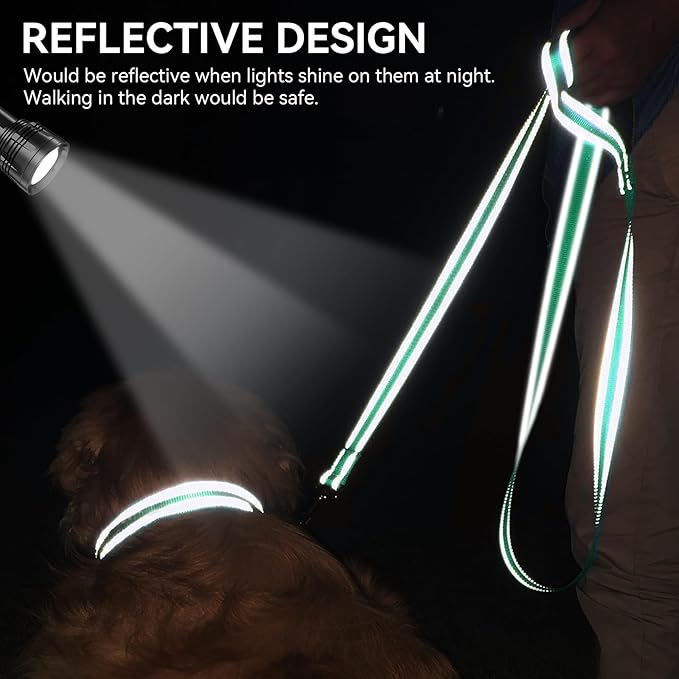 Joytale Dog Leash, 4 FT Double-Sided Reflective, Padded Handle Nylon Heavy Duty Leashes for Small Dogs Walking, Teal