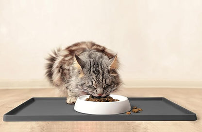 CatGuru Cat Bowls, Whisker Friendly Food Bowl for Indoor Cats, Reliefs Whisker Fatigue, Wide Kitten Dish, Non Slip Pet Dishes, Shallow Pet Plates (Ceramic, White, (Pack of 1))