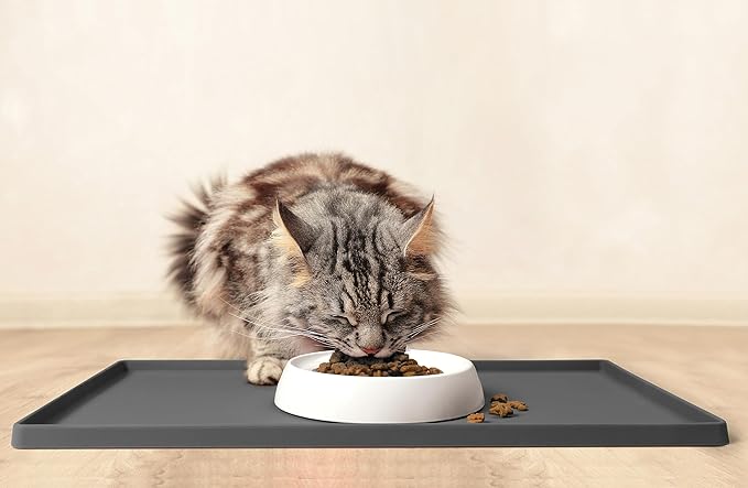 CatGuru Cat Bowls, Whisker Friendly Food Bowl for Indoor Cats, Reliefs Whisker Fatigue, Wide Kitten Dish, Non Slip Pet Dishes, Shallow Pet Plates (Ceramic (Pack of 2))