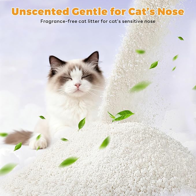 Premium Cat Litter, Non-Stick Strong Clumping Cat Litter, 100% Natural Cassava Kitty Litter, Multi-Cat/Unscented Dust-Free/Odor Control/Ultra Absorbent/Less Scattering - 18 lbs - 2 Pack