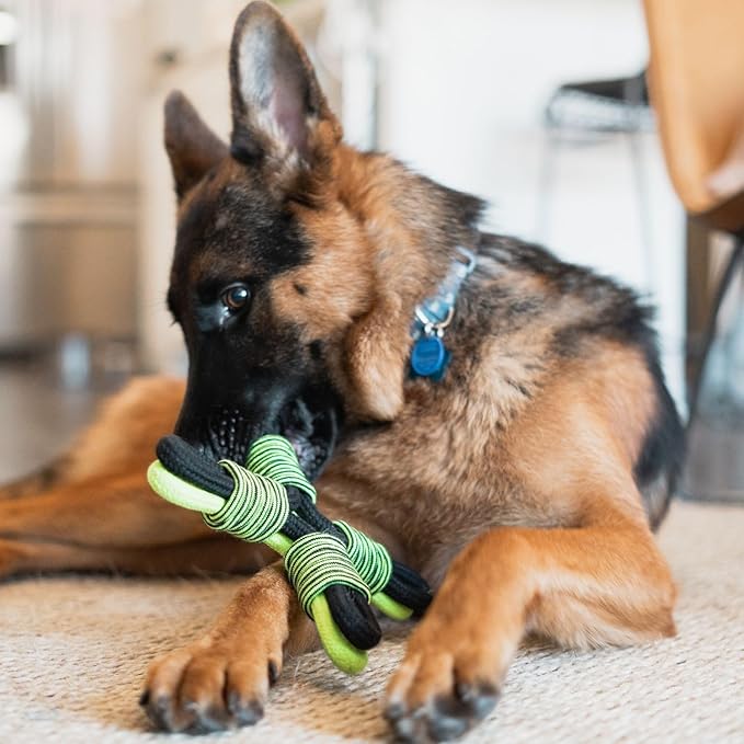 Jolly Pets TIK-Tak-Tugzz Large/XL X Rope Dog Toy