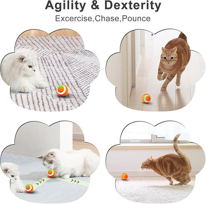 SEALON Electric Interactive Cat Toy Ball(Orange 4 Pack) Indoor Cat Play Ball, Suitable for Cats Over 6 Months for Exercise, Weight Loss, and Fun