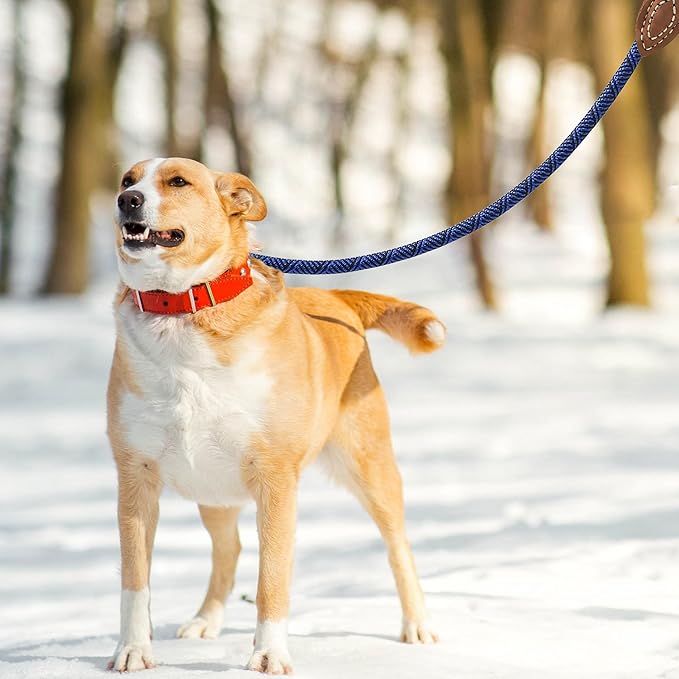 Mile High Life Rope Leash with Genuine Leather Connection, 6 FT/5 FT/4 FT, Heavy Duty Leash for Medium & Large Dogs (Blue, 72 Inch)