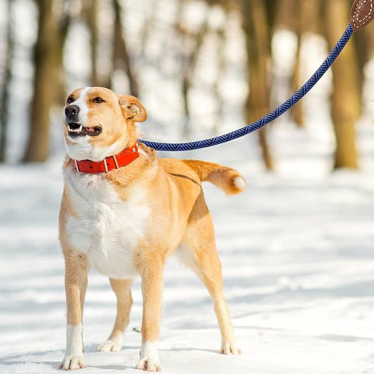 Mile High Life Rope Leash with Genuine Leather Connection, 6 FT/5 FT/4 FT, Heavy Duty Leash for Medium & Large Dogs (Blue, 48 Inch)