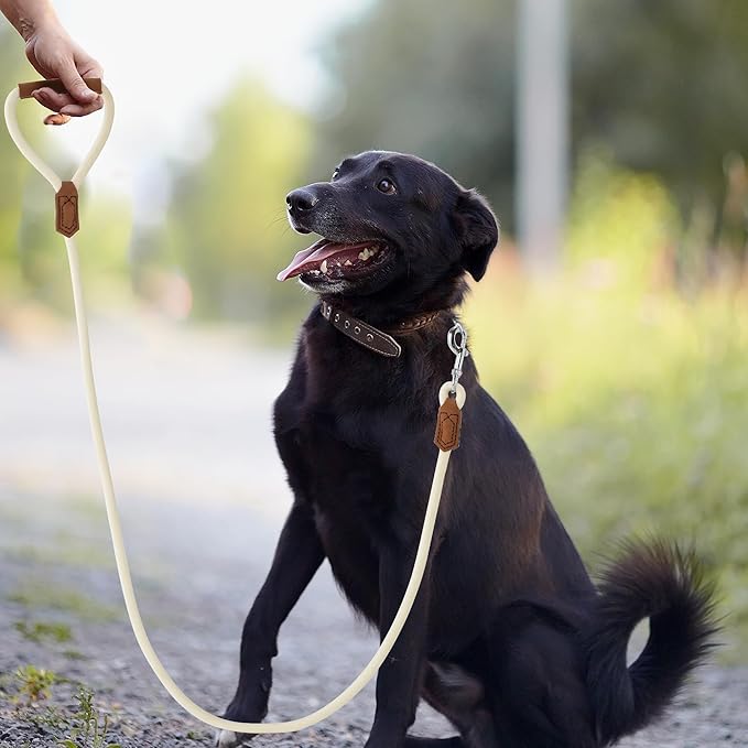 Mile High Life Leather Dog Leash, Heavy Duty Strong Genuine Leather Handle Rope Leash Soft and Comfortable for Small Medium Large Dogs (Cream White, 60 Inch)
