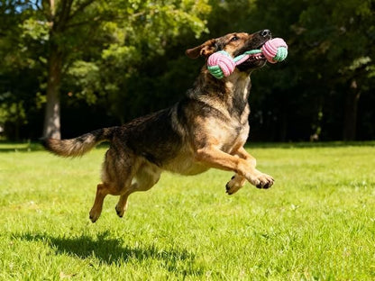 12 Pack Dog Rope Toys for Large Dogs, Durable Dog Chew Toys for Aggressive Chewers - Pink & Green Tug of War Dog Toy, 13 Inch Big Dog Toys for Chewing, Tugging & Teeth Cleaning