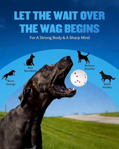 Automatic Ball Thrower for Dogs, Ball Launcher for Dogs - 2.5" Dog Balls * 6Pack (Blue)