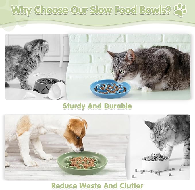 Cat Slow Feeder Bowl Set - 2 Pcs Pastel Series Cat Plate for Dry and Wet Food - Cute Maze Feeder Dish for Healthy Eating- Slow Feeding Bowls Whisker Friendly - Dishwasher Safe (Blue and Green)