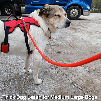 MayPaw 4/6 /8/10 FT Dog Leash, Classic Solid Colors, Strong Nylon Rope Dog Leash Reinforced with Leather Tailor Connection Heavy Duty Silver Clasp (red, 10ft*1/2")