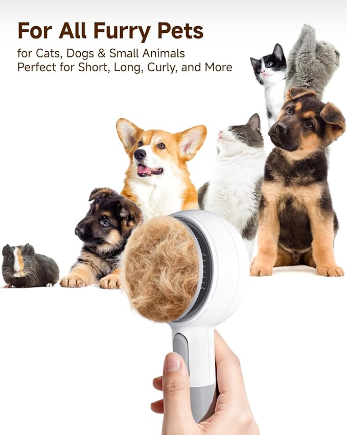 Pet Spray Brush for Cats & Dogs, 3-in-1 Grooming Tool with Cool Mist, 2-Speed Spray Settings, Removes Dander & Deshedding, One-Touch Self-Cleaning Hair Brush, for Long Short Hair Pets