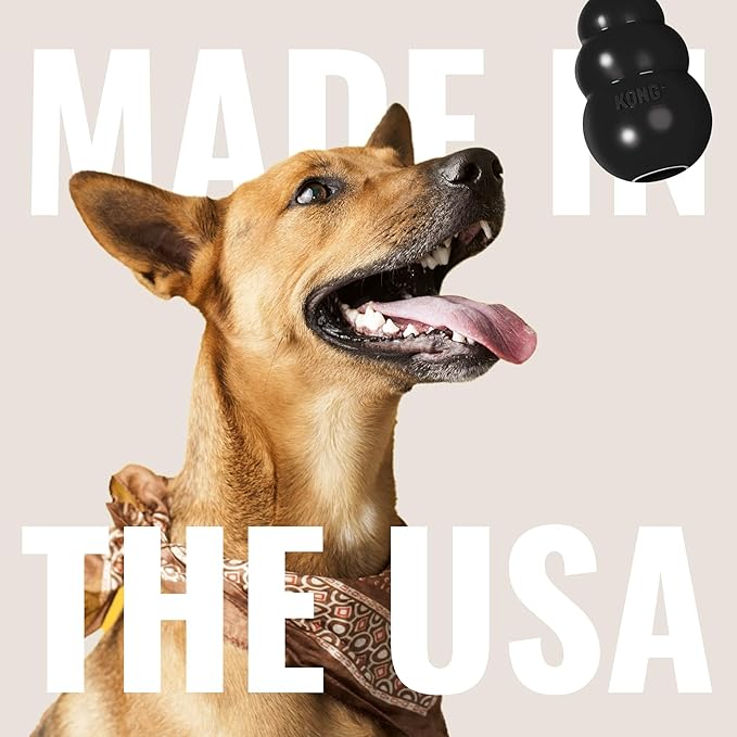 KONG Extreme Dog Toy - Fetch & Chew Toy - Treat-Filling Capabilities & Erratic Bounce for Extended Play Time Most Durable Natural Rubber Material - for Power Chewers - for Small Dogs (Pack of 2)