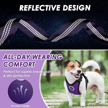 Lukovee Dog Seat Belt for Car, Adjustable Dog Car Harness for Large Medium Small Dogs, Soft Padded & Breathable Mesh Dog Seatbelt with Car Strap and Carabiner (Purple,XXXS)