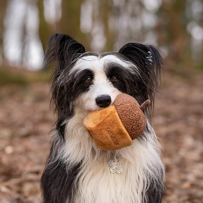 CHEWFFON Interactive Plush Dog Toy, Enrichment Crinkle Treat Puzzle Toys for Boredom and Stimulating, Acorn Shaped Snuffle Dog Toys, Hide and Seek Toy for Small, Medium and Large Dogs