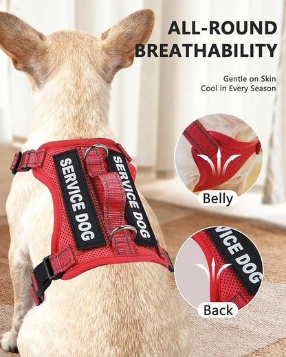 Service Dog Vest for Small Breed Dogs with ID Tag – Lightweight Puppy Harness and Leash Set with 6 PCS Patches, Ideal Service Animal Vest for Training, Complete Service Dog Gear, Red, L