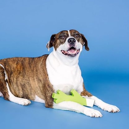 Fringe Studio Stick with ME Lime/White Rubber Dog Toy, Pet Shop Collection (518034) (Pack of 2)