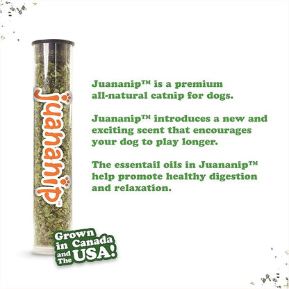 Doggijuana Tuffer Chewer Mini Plush Dog Toy | Funny Dog Toy Plush with Juananip Catnip for Dogs | Calming Aid for Dogs | Interactive Squeaky Chew Toy for Play (Pretzel Ring)