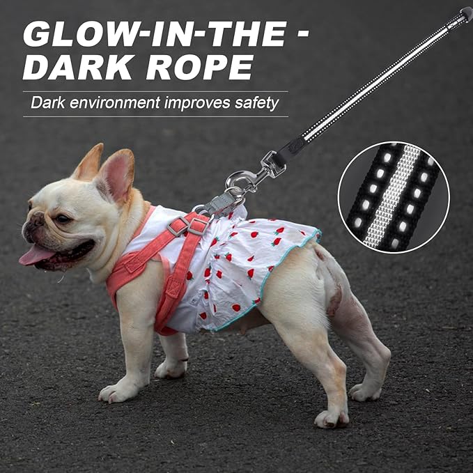 Retractable Dog Leash, 20 FT Dog Walking Leash for Small/Medium Dog or Cat up to 44 lbs, Strong Nylon Cord, Tangle Free, One-Hand Brake