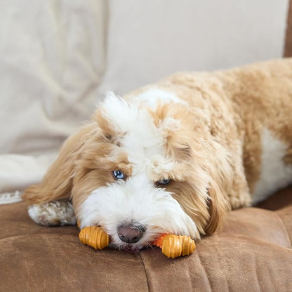 SPOT Bam-Bones Dental X-Bone - Made with Bamboo Fiber and a Massaging Rubber Center, Durable Oral Care Dog Chew for Light Chewers & Teething Puppies under 25lbs, 6in Allergen Free Peanut Butter Flavor