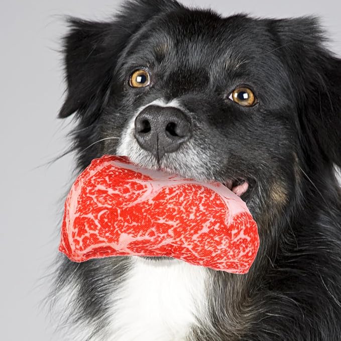 balacoo Realistic Steak Dog Chew Toy with Squeaky Sound Soft Oxford Cloth Interactive Pet Toy for Teeth Grinding and Chewing 7 Inch Durable Puppy Plaything