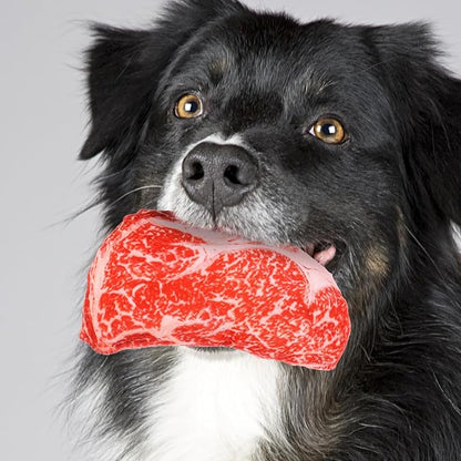 balacoo Realistic Steak Dog Chew Toy with Squeaky Sound Soft Oxford Cloth Interactive Pet Toy for Teeth Grinding and Chewing 7 Inch Durable Puppy Plaything