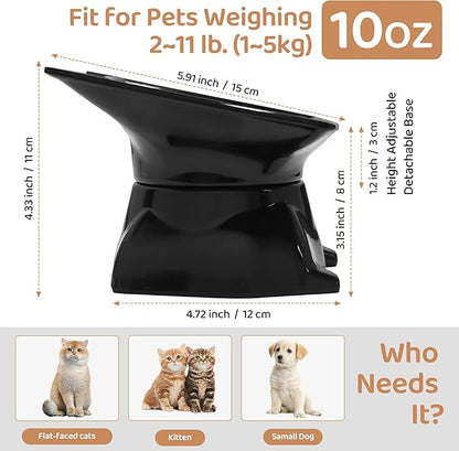Small Elevated Slow Feeder Cat Bowl, Cute Tilted Elevated Bowls and Dishes for Cats & Small Dogs, Whisker Friendly, Anti Vomiting Raised Pet Bowl for Dry and Wet Food, Black